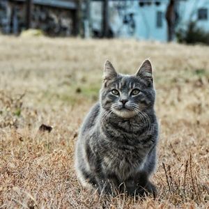 Meet your Posher, Lindsay